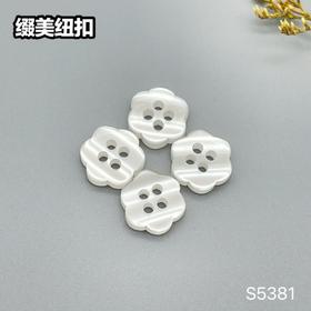 S5381(整包购买)