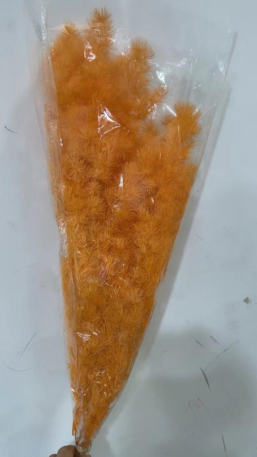 永生~蓬莱松 商品图2