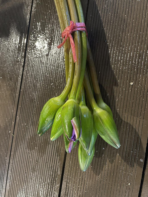 睡莲：紫色，10枝【现货】 商品图1