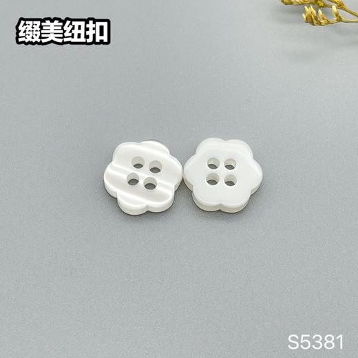 S5381(整包购买) 商品图2