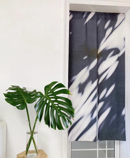 龟背  约10支/扎 商品图1