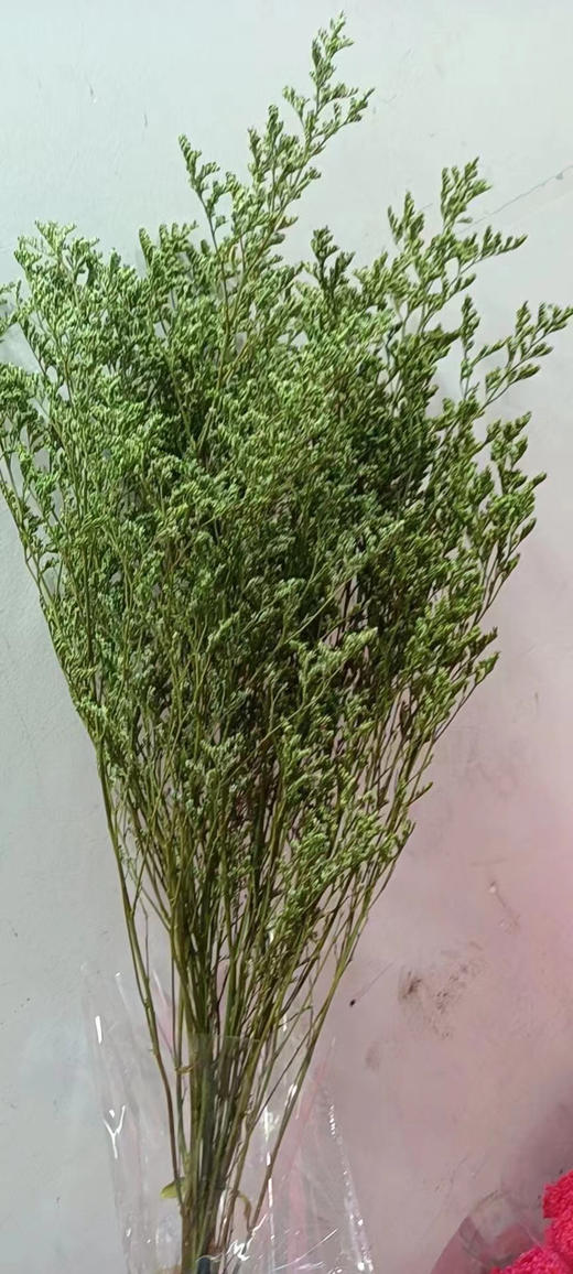 永生~情人草（120克） 商品图4