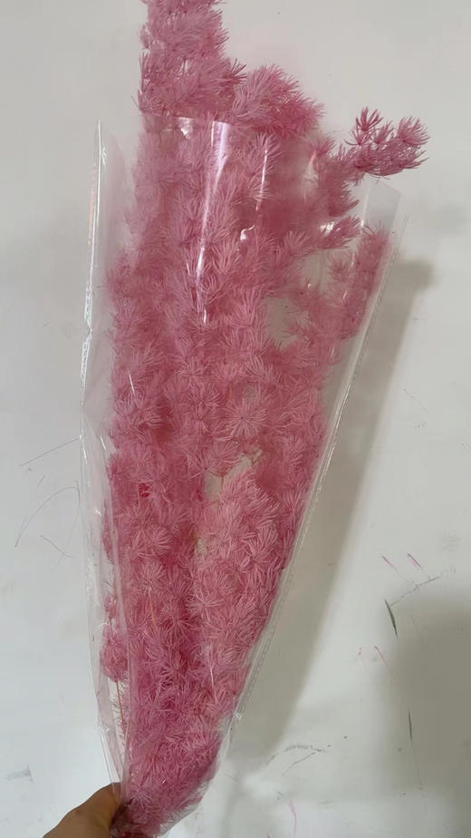 永生~蓬莱松 商品图8