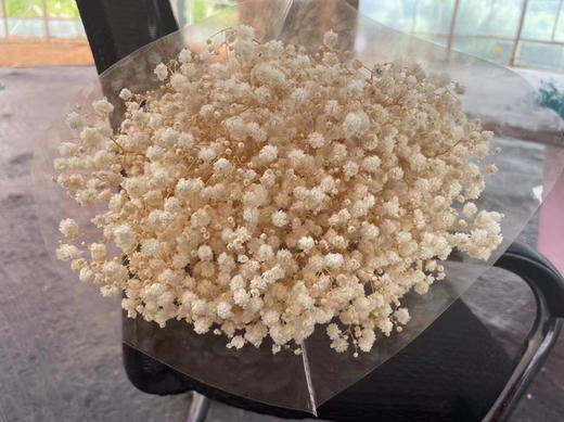 永生~满天星 商品图8