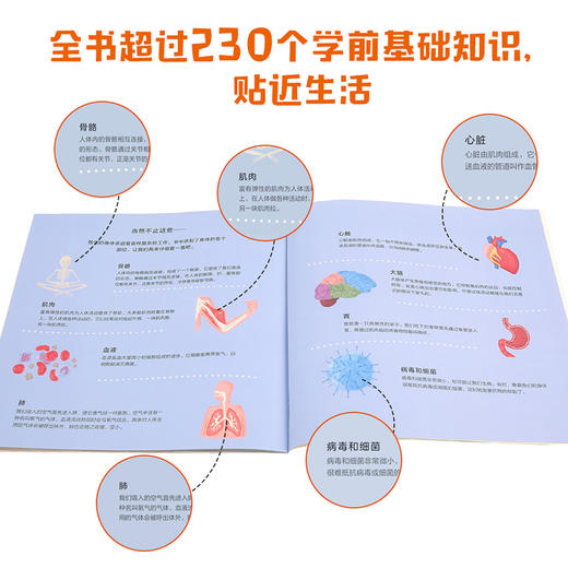 (仓发) 手电筒看里面科普透视绘本（平装套装共10册）/中信出版集团/[英]卡伦·布朗/9787521702156 商品图3