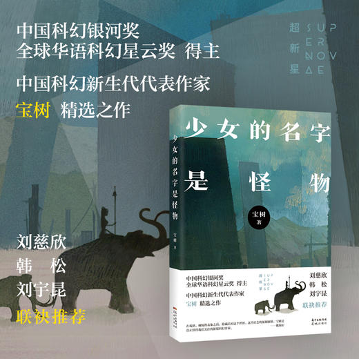 (仓发) 少女的名字是怪物/花城出版社/宝树/9787536090361 商品图1
