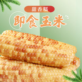 竹镇即食玉米 线上