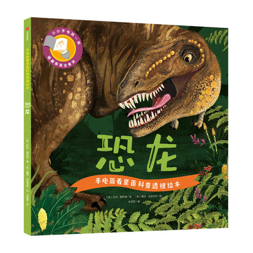 (仓发) 手电筒看里面科普透视绘本（平装套装共10册）/中信出版集团/[英]卡伦·布朗/9787521702156 商品图8