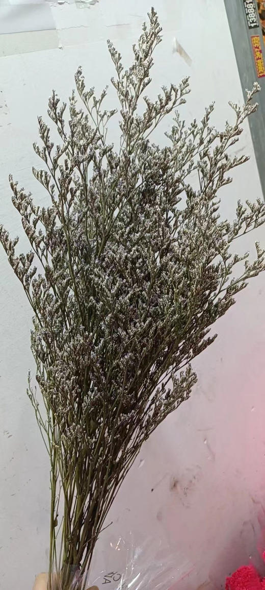 永生~情人草（120克） 商品图3