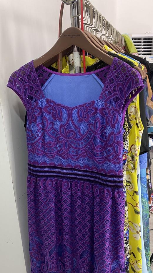 【伯妮斯茵】162S122--紫色连衣裙--花园的石阶--《生命之美-梵高的花园》 商品图1