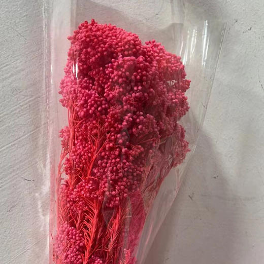 永生花~漂色米花 商品图6