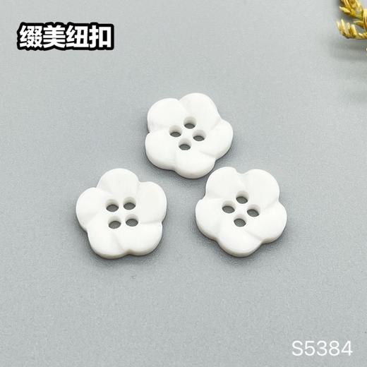 S5384(整包购买) 商品图0