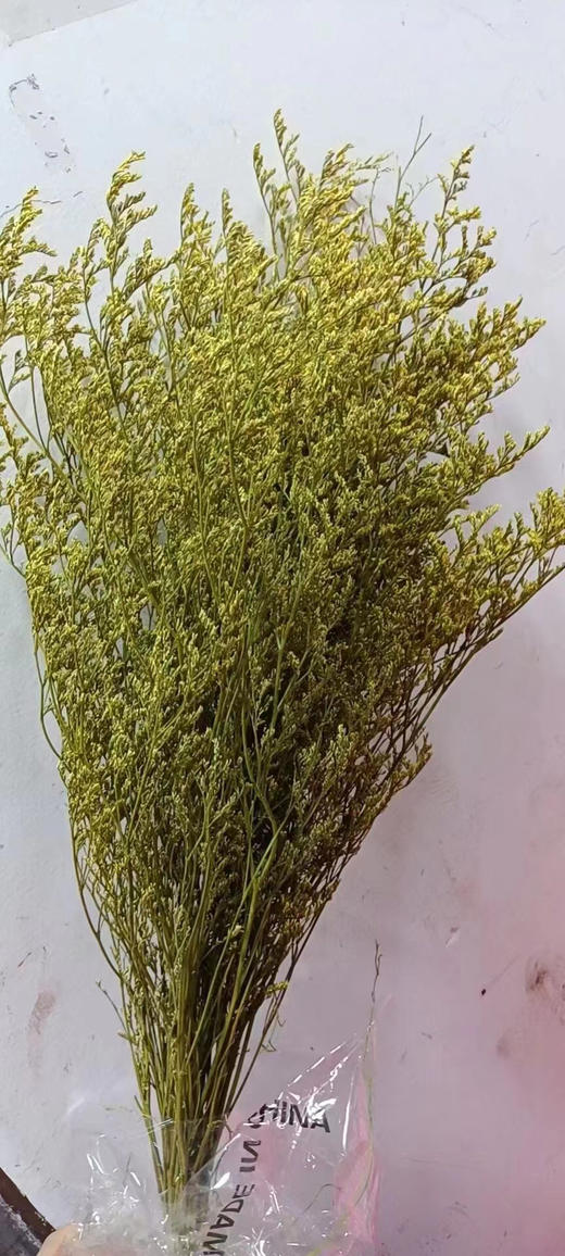 永生~情人草（120克） 商品图7