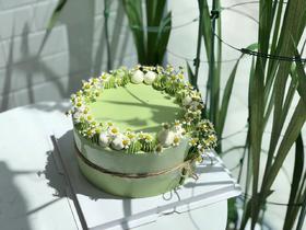 绿野仙踪 （需提前24小时预订）