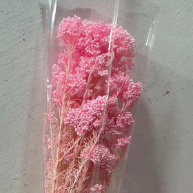 永生花~漂色米花