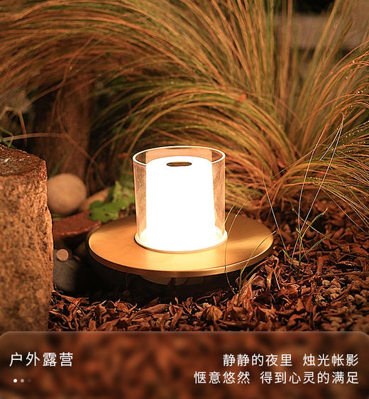 法式装饰台灯卧室浪漫床头灯充电插超长续航简约小灯 商品图3