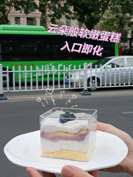 云上蓝莓 商品图1