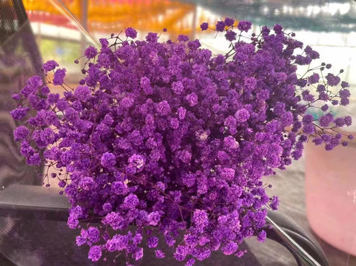 永生~满天星 商品图6