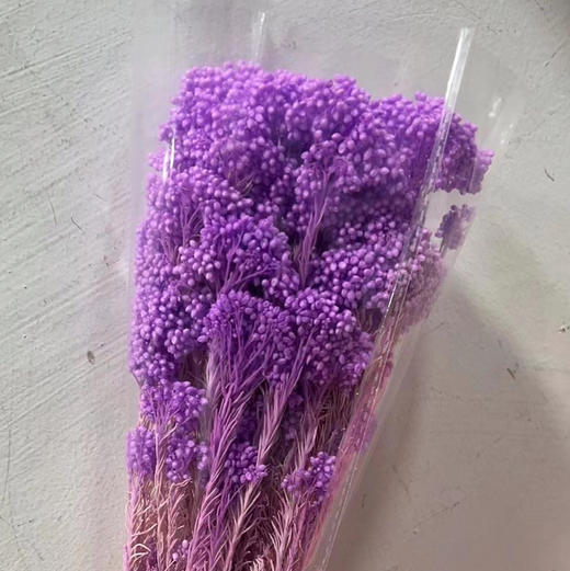 永生花~漂色米花 商品图2