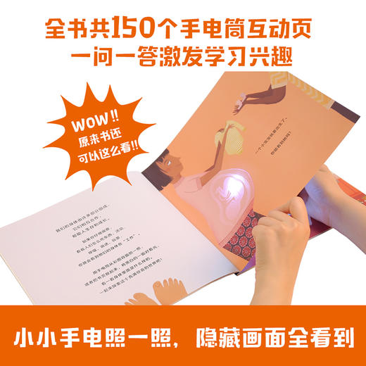 (仓发) 手电筒看里面科普透视绘本（平装套装共10册）/中信出版集团/[英]卡伦·布朗/9787521702156 商品图2