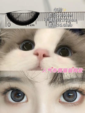 超大直径丨可尔必思灰·Agenscolor丨14.5mm（年抛/2片装）