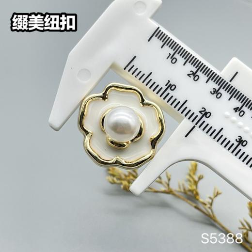 S5388(整包购买) 商品图5