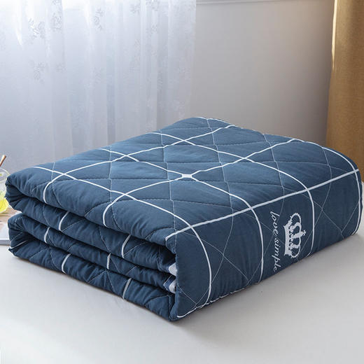 夏天空调被夏凉被双人单人薄被子可水洗机洗被子学生宿舍春秋童被wyt3 商品图3