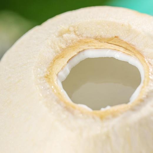 泰国椰青 商品图1