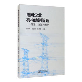 (仓发) 电网企业机构编制管理——理论、方法与案例/经济科学出版社/9787521825510