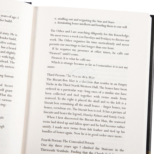 预售 【中商原版】皮拉内西 苏珊娜·克拉克 英文原版 Piranesi Susanna Clarke 亚马逊高分图书 商品图3