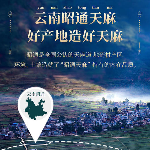 【买3发5买4发7】初草堂鲜天麻蜜片云南昭通天麻切片+高山皇蜜浸渍保留营养高活性鲜甜可口 商品图2