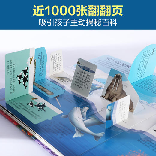【常青藤爸爸】乐乐趣揭秘翻翻书系列12册（第一辑+第二辑+第三辑） 商品图4