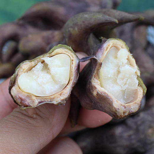 湖北洪湖新鲜青菱 老菱角3斤/5斤 商品图1