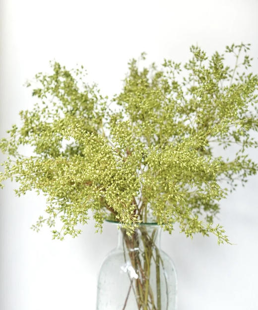 【山货花材】 小米果  若干枝/扎 商品图4