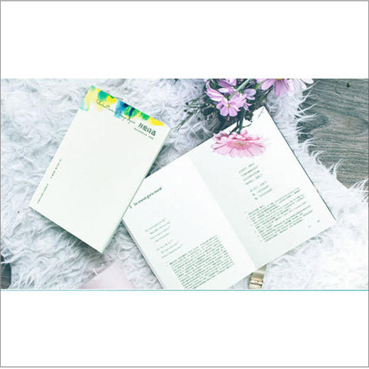 英诗精装套装 商品图4