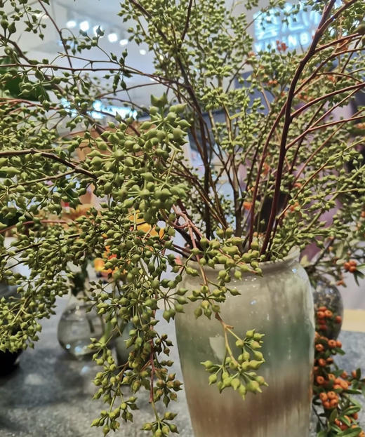 【山货花材】 小米果  若干枝/扎 商品图7