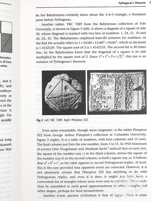 预售 【中商原版】改变世界的17个方程式 英文原版 Seventeen Equations that Changed the World Ian Stewart 商品图7