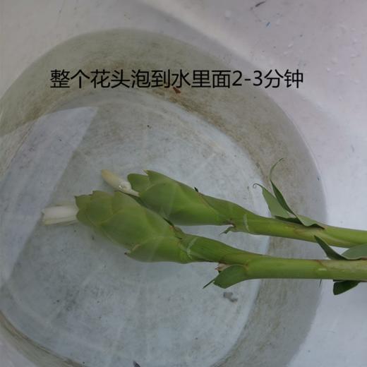 夏季热款姜花有香味 商品图9