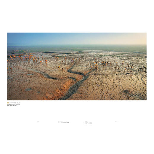 生灵·奇境——中国盐城黄海湿地 商品图2