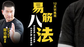 【6月28日】易筋八法直播讲解指导6