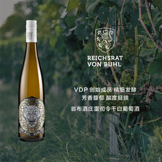 德国翁布酒庄雷司令干白葡萄酒  2020 Reichsrat von Buhl Bone Dry Riesling Trocken, Pfalz 商品图0