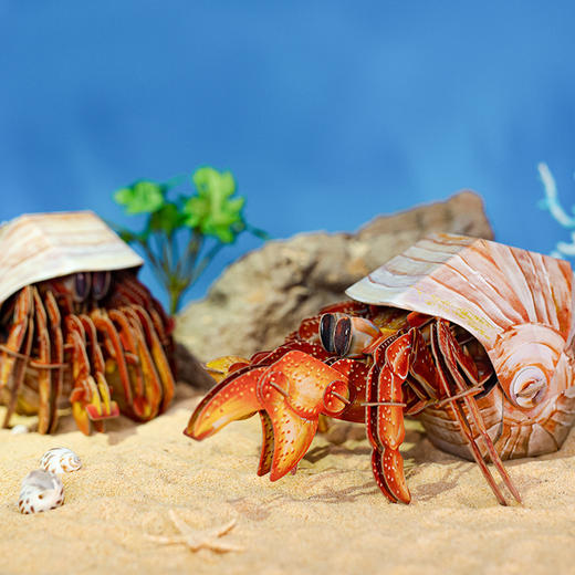 博物文创 海洋系列橙红陆寄居蟹纸模创意生日礼物动手动脑拼装玩具 商品图3