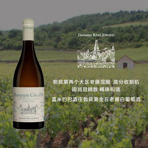 【老藤佳酿】勃艮第雷米约巴酒庄勃艮第金丘老藤白 2018 Domaine Remi Jobard Bourgogne Cote d'Or Vieilles Vignes 商品图1