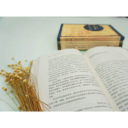 费孝通社会学经典套装 商品图2