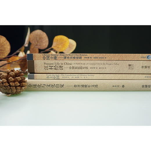 费孝通社会学经典套装 商品图3
