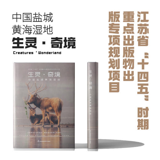 生灵·奇境——中国盐城黄海湿地 商品图1