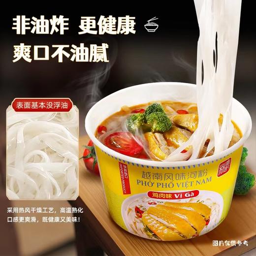 林富记鸡肉味河粉 商品图3