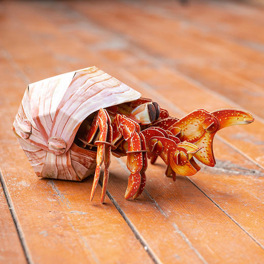 博物文创 海洋系列橙红陆寄居蟹纸模创意生日礼物动手动脑拼装玩具 商品图1