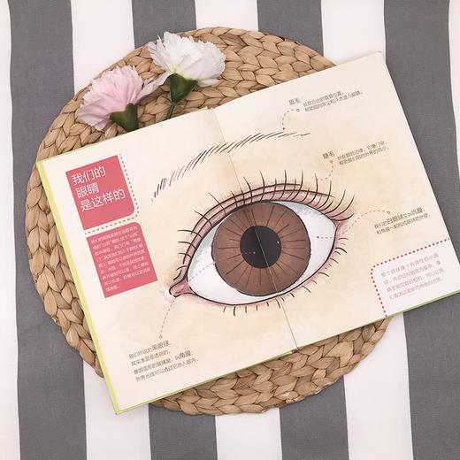 《李晓清医生讲给孩子的第一本护眼书》 商品图4