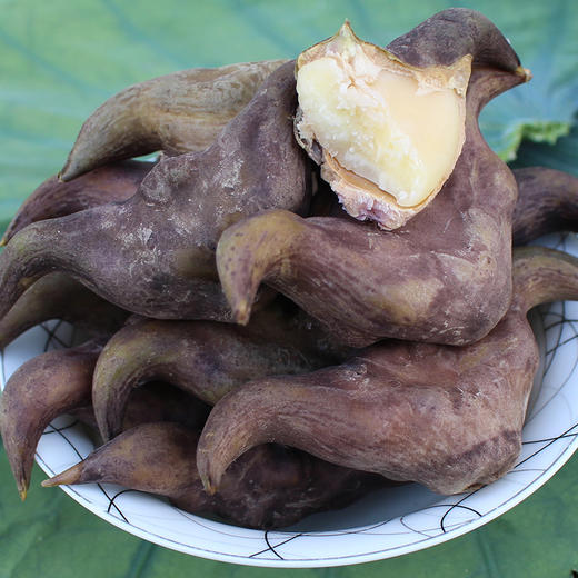 湖北洪湖新鲜青菱 老菱角3斤/5斤 商品图3